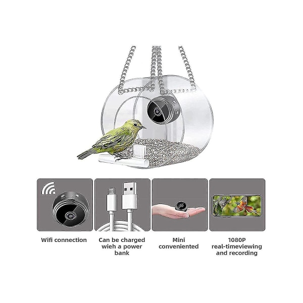 Med trådlös utomhuskamera, fågel med 720p-kamera Vers Wifi-kamera,