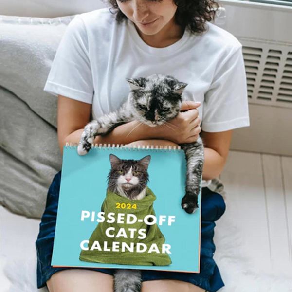 2024 Pissed-off Cats Kalender - Rolig, Sassy Semestergåva För Kattälskare