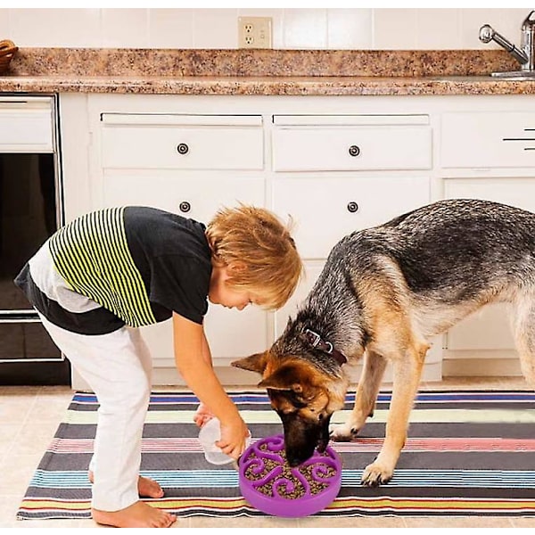 M Lilla Anti-Glutton Hund Langsom Fôringsskål Med Sklisikker Bunn Fremmer Sunt Spising Og Langsom Fordøyelse