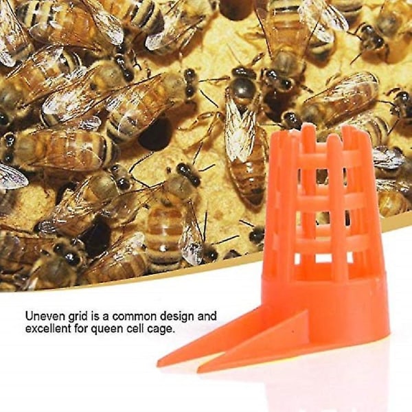 Honey Bee Comb Push-in dronning cellebeskytter med pigge til biavl (50 stk)