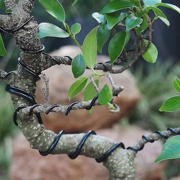 3-pakk Bonsai-lanka Bonsai-puiden koulutuslankoja Anodisoitu alumiini