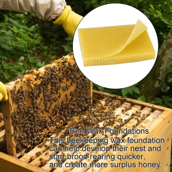 10 st Bivax Foundation Bikupa vaxramar Basplattor Bee Comb Honungsram Bivaxlakan Biodlarutrustning