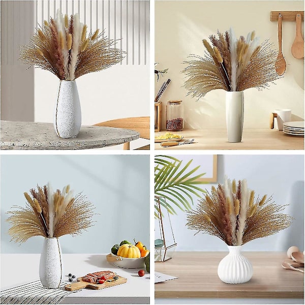100 kpl 17 tuuman Pampas R, Kuivattu Pampasruoho Sisältää Pampas ( Ja ), Re