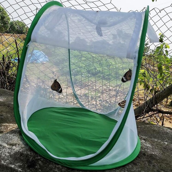 Insektsbur Vikbar Lätt att bära Grön mesh Terrarium för trädgård