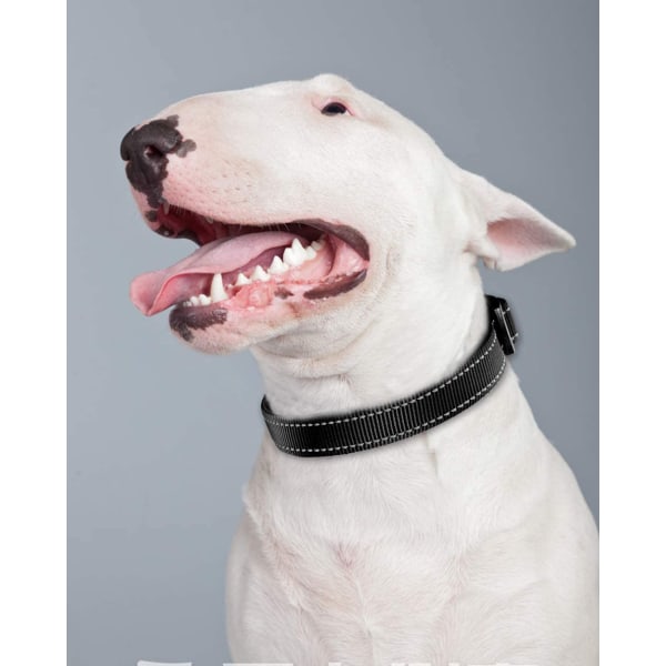 Reflekterende hundehalsbånd, mykt neoprenpolstret pustende kjæledyrhalsbånd i nylon justerbart for små hunder, svart