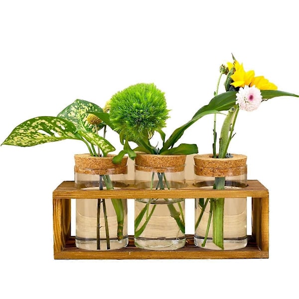 Förökningsstation, Glasväxtterrarium för växtsticklingar, Förbättrar heminredningen, Perfekt inomhusdekoration för växtälskare