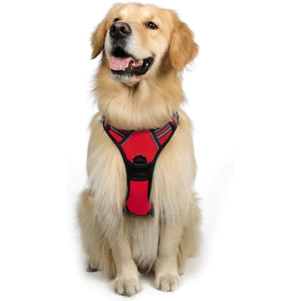 Dog Harness, No-Pull Pet Harness with 2 Leash Clips, Adjust