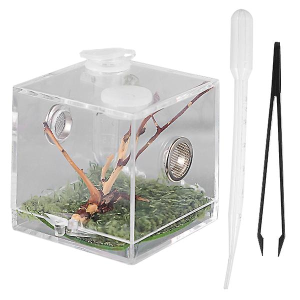 Reptil uppfödningslåda med dropp och pincett husdjur terrarium