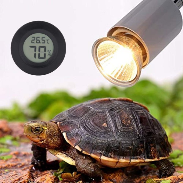 Digitalt termometer og hygrometer for reptiler og amfibier