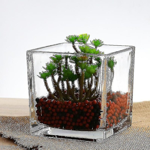 Sett med 3 firkantede glassvaser 5 x 5 tommer gjennomsiktig kubeformet blomster vase, lysestaker - Perfekt som et bryllupssenter, hjemmedekorasjon
