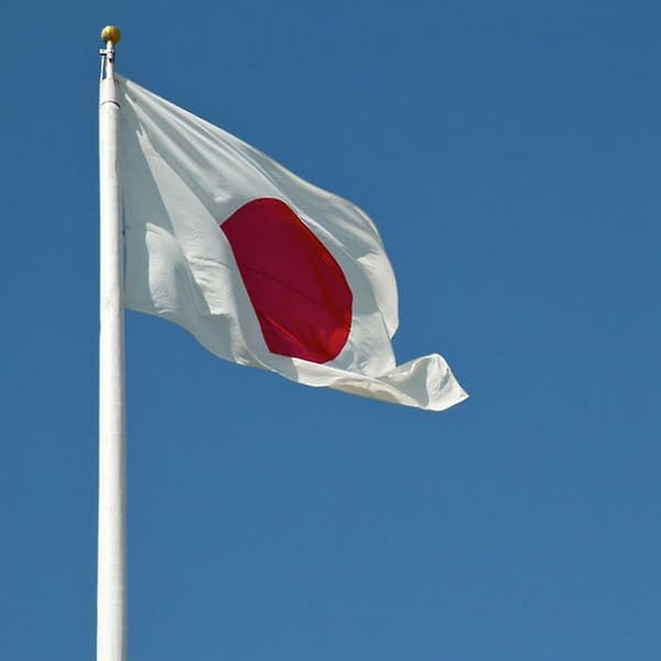 Flagg Japan Japansk Polyester Utendørs Flagg Gratulerer 9