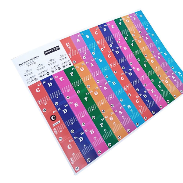 Avtagbara transparenta klaviaturklistermärken för 37/49/61/88 tangenter Keyboards för barn Nybörjare Pianoträning
