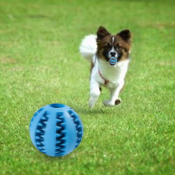 1 Pet Chew Ball Blå S