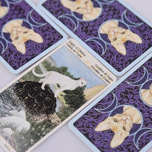 Tarotkortspil, Pagan Cats Tarot-kortspil med spådomsspil, Familiefestfavorit