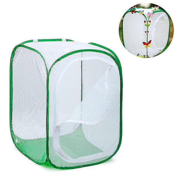 Korkea Suuri Perhonen Habitat-häkki Taittuva Terrarium Pop-