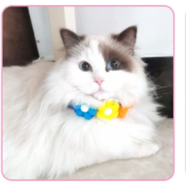 Katt Hund Blommor Halsband Valp Pompon Halsaccessoarer Födelsedag Halsband För Festlig Dekoration (liten)