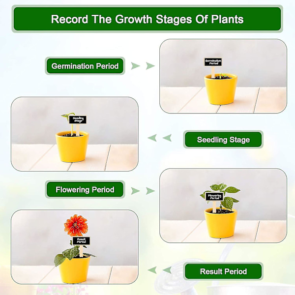 40 stk. T-formede hageskilt av tre for planter, hageskilt av tre, merking av planter, svarte