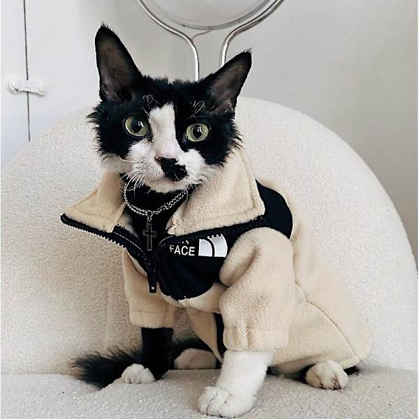 Vinterdjur Katt Varm Rock Vattentät Kattjacka Katt Ansikte Mode Mönster Hund Katt Kattunge Kostym Reflekterande Husdjurskläder