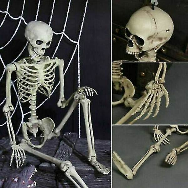 Halloween Ihmisluuranko Ylisuuri Asennettava Kokoelämäkokoinen Koriste Juhlarekvisiitta