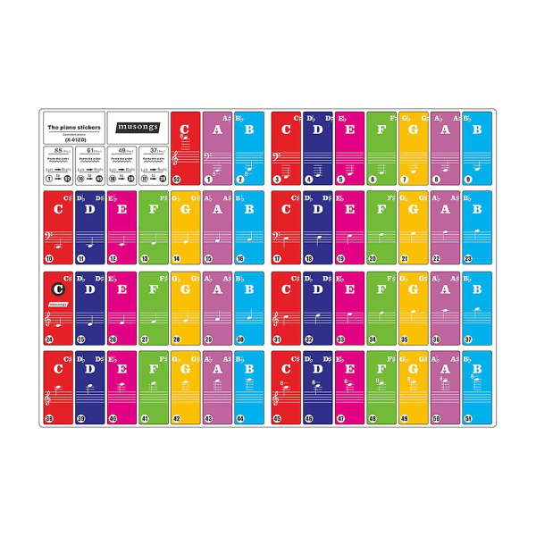 Avtagbara transparenta klaviaturklistermärken för 37/49/61/88 tangenter Keyboards för barn Nybörjare Pianoträning