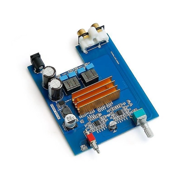 Tpa3116 Digital lydforsterker Digital subwooferforsterker Channel 130wx2 High Audio Amplifier Sil