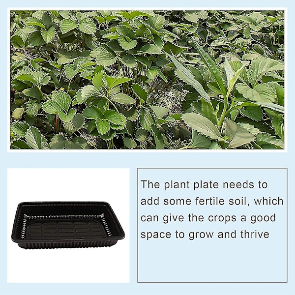 10 st fröbrickor. Hållbara plastbrickor för plantgrodd. Fröbricka