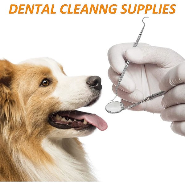 Scaler koiran hampaiden puhdistussarja ruostumattomasta teräksestä valmistettu set lemmikkieläinten hampaiden puhdistustyökalu