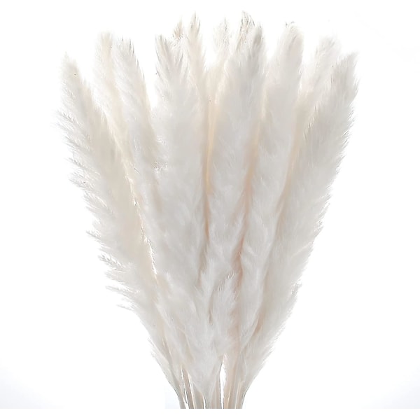 30 stk. Pampas Naturlig Græs Reed Plume Tørrede Blomster Phragmites Buket Høj Real Touch Naturlige Fjer Til Bondehus Kontor Soveværelse Bryllup Rustik Dek