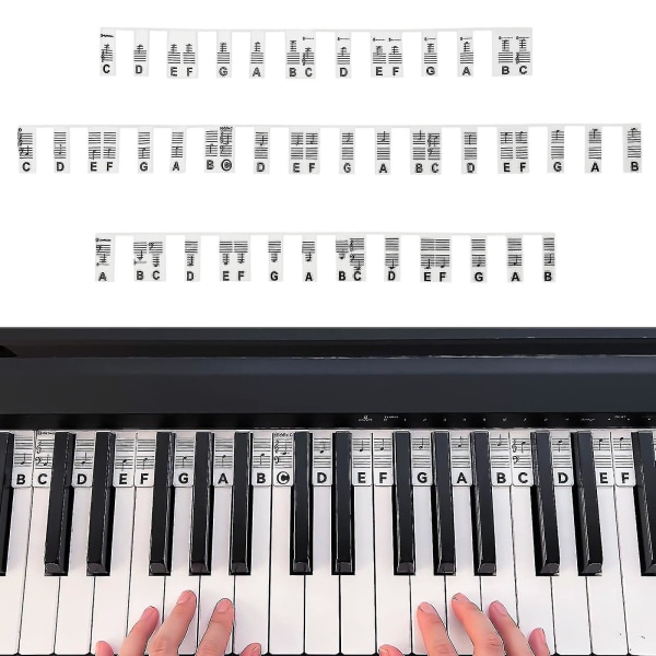 Klaver Keyboard Overlay Klaver Noder Guide 88 tangenter Aftagelig for begyndere