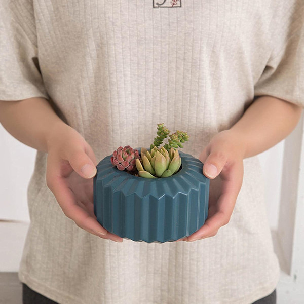 Kruka för suckulenter - 8 cm kruka för suckulenter - Minikruka för krukväxter, söt randig kruka, bonsai-kruka för hem, trädgård och kontor