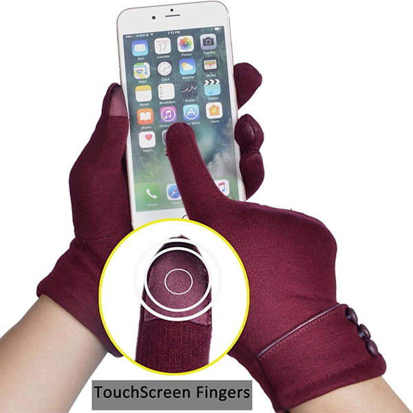 Dam Vinter Varma Handskar Touch Screen Mobiltelefon Vindtät Foder Tjocka Handskar (Claret) Claret