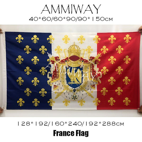 Hvert statsoverhoved i Vichy-Frankrig Flag og bannere Frankrig Flag Philippe Petain Flag Dekorativt nationalt flag Frankrig
