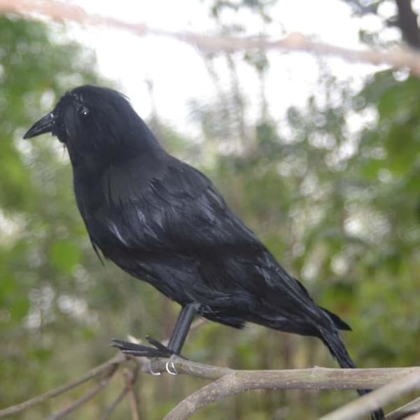 6 X Halloween Dekoration Kråka Artificiell Raven Kråka Med Fjädrar Svart Fågel