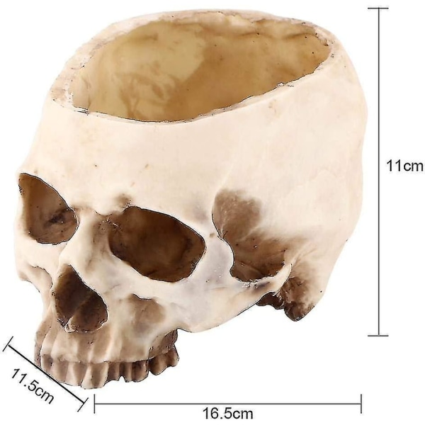 Skull-131-skull urtepotte