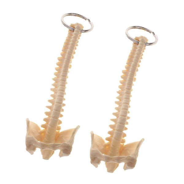 2 stk Mini håndlavet menneskelig rygrad skelet model nøglering skole undervisningsværktøj Elegant smuk nyhed nøglering sød til