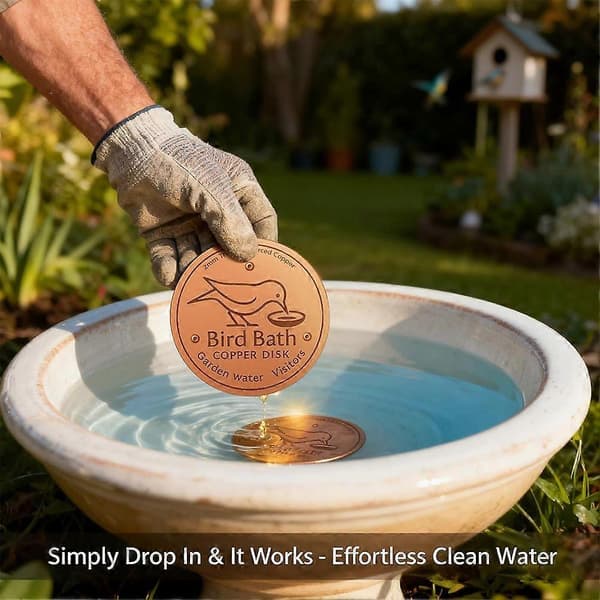 Fuglebad Kobberdisk Vandrenser Have Fuglebad Vedligeholdelsesdisk Udendørs Springvandstilbehør A