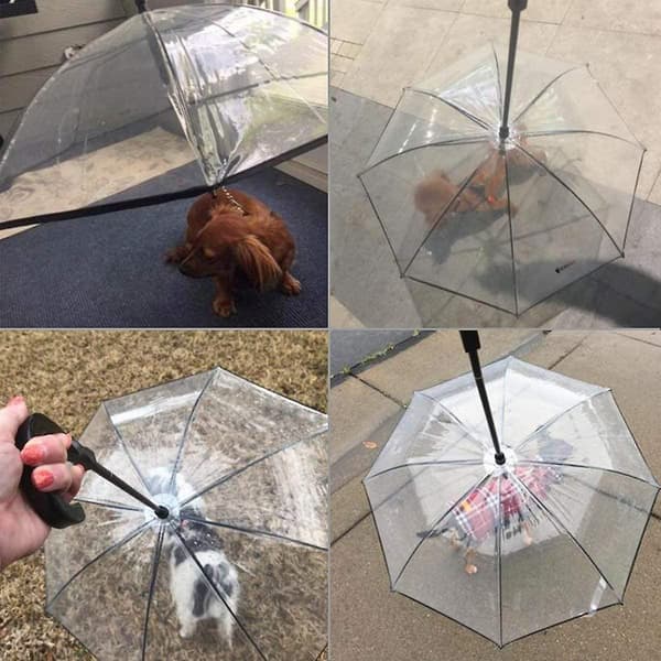 Pet paraply trygt