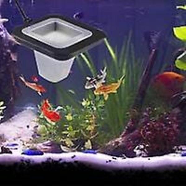 Akvarium Rød Orm Hældning Fiskefoder Rør Fiskefoder med Sugeskål Foderredskab Materiale Plast