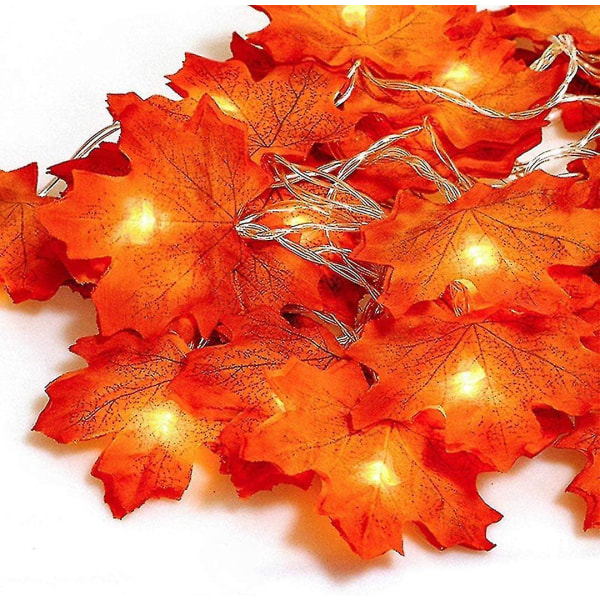 Høstkrans nattlys, 20led 3m, 20 lyslenker, høstblader Gugirlande, Halloween Jul D
