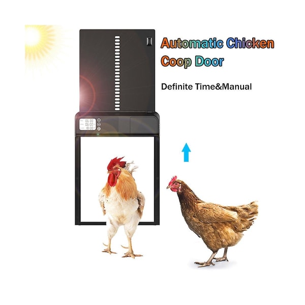 Älykäs automaattinen broilerin ovi, LCD-näyttö Chicken Coop oven avaaja manuaalisella ja ajastimella