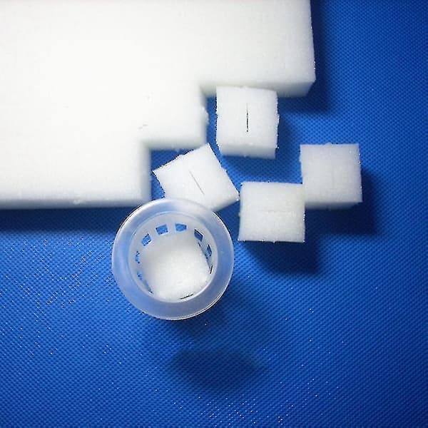 Hydroponiske svampespirer for hagearbeid