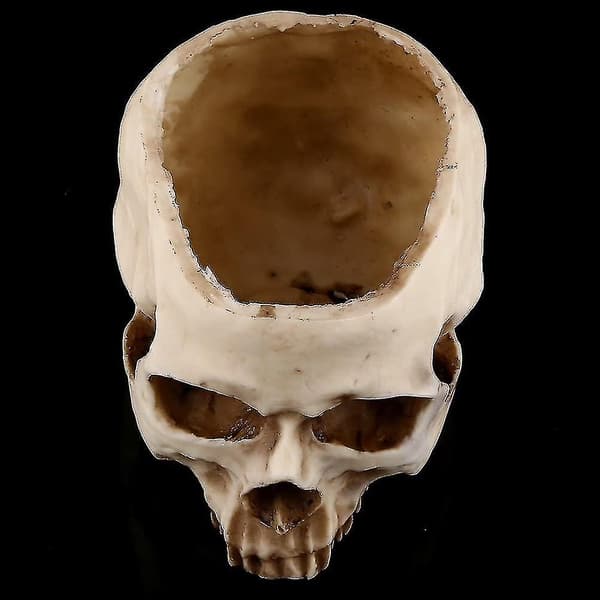 Skull-131-skull Blomkruka