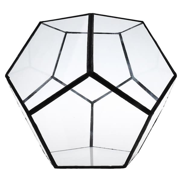 Plante Terrarium Boks