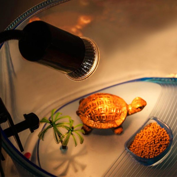 Creepypasta Turtle Light Bulb 75w Uva Uvb Reptil Light Kit Reptil varmelampe Turtle Light Bulb Basking Lamp