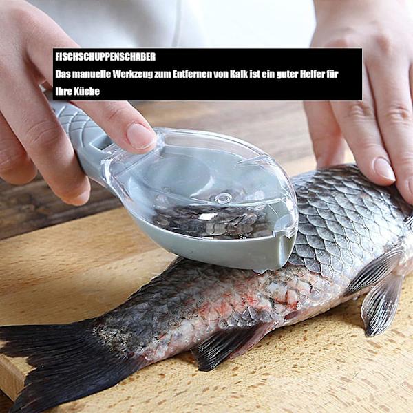 Fiskfjällsskrapa verktygssats - 1 st