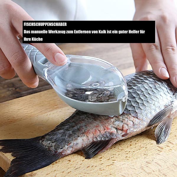 Kalan suomujen kaavin työkalusarja - 1 kpl