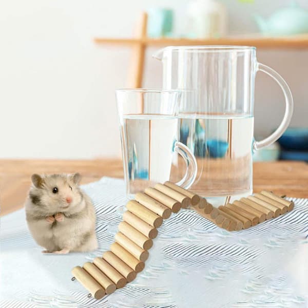 Papegoja Hamsterbro