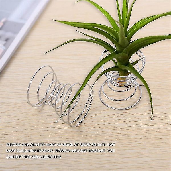 6 stk. Luftstand Luftplante Beholder Tillandsia Holder Rustfrit Stål Display Luft Ananas Base