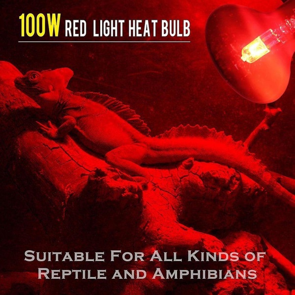 100w 2 kpl infrapunalämpölampun polttimo Punaiset lamput Lemmikkilissoille Partalohikäärmeille Kameleonteille