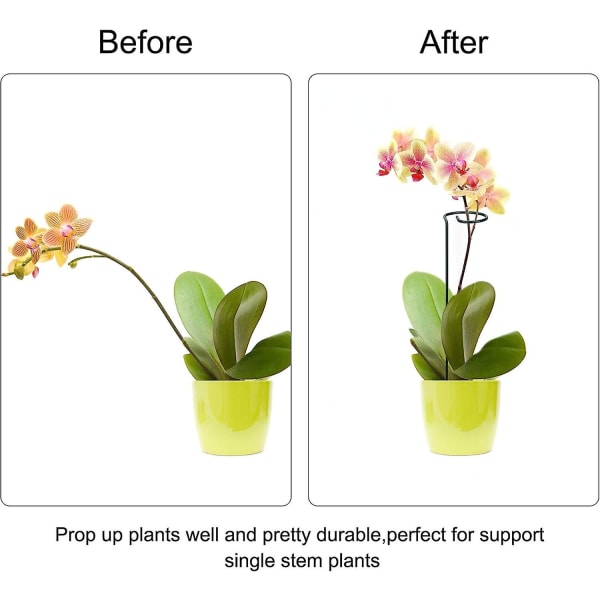 Plantesupport Stålstang Ringstøtte til planter Blomster Grøntsager 6 stk.